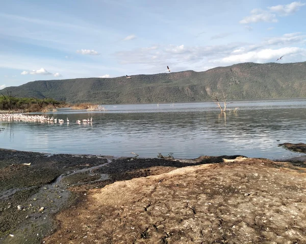 Lake Bogoria