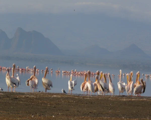 Soysambu Conservancy